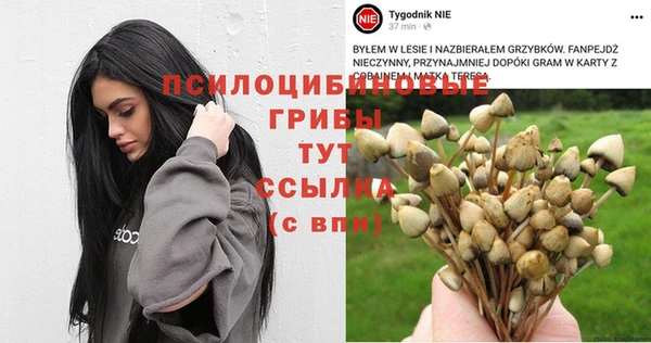 мескалин Медногорск